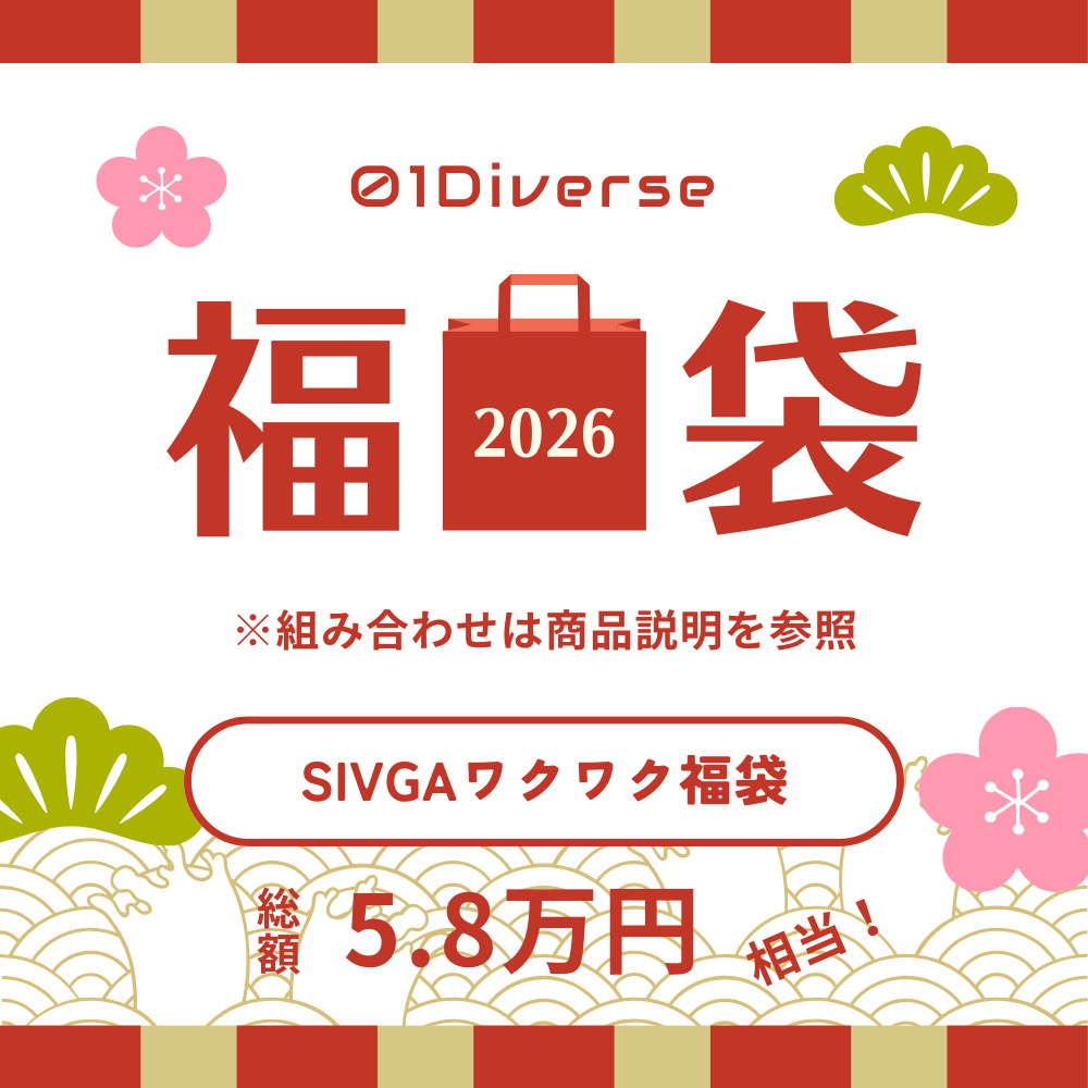SIVGAワクワク福袋