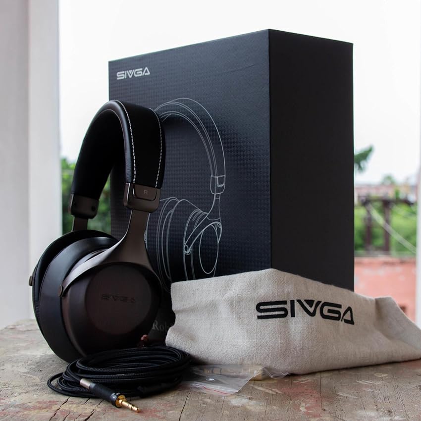 SIVGA SV021 VGP 受賞