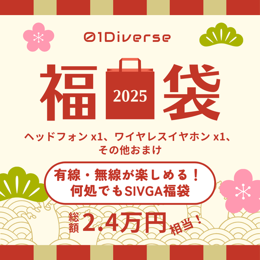 有線・無線が楽しめる！ 何処でもSIVGA福袋