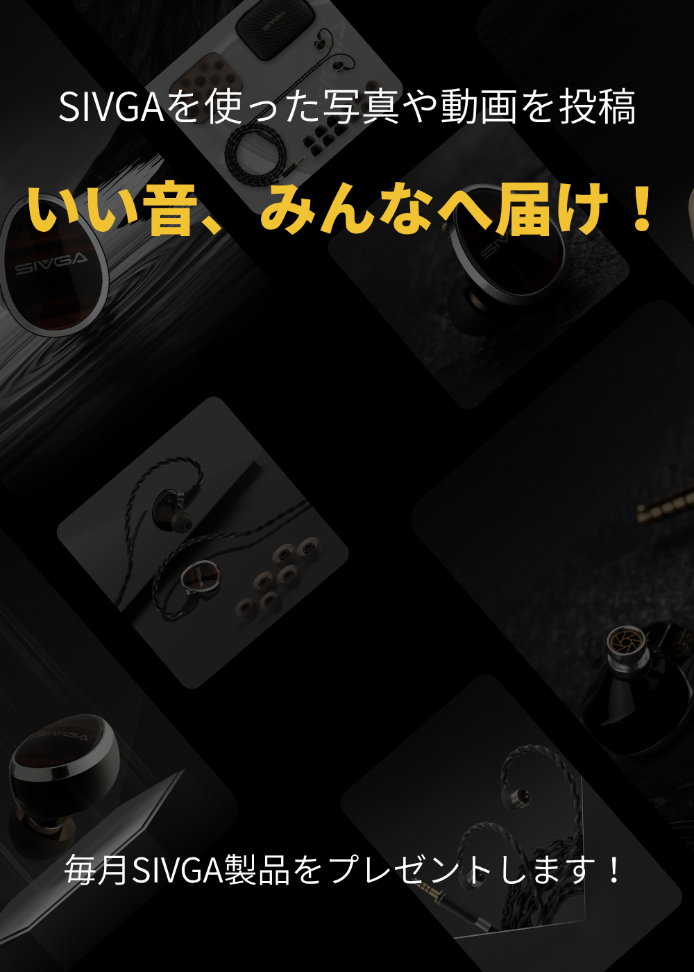 SIVGA Que + NICI HIFI 20 お得セット