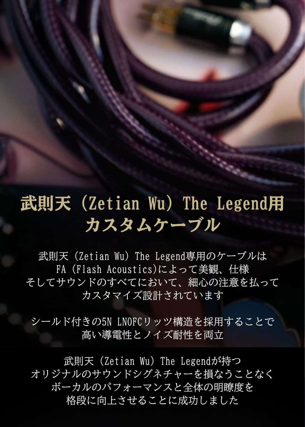 TANGZU 武則天 Zetian Wu The Legend デュアルプラナードライバー 有線イヤホン 開放型 セミオープン オープンバック ハイエンド HiFi IEM インイヤーモニターイヤホン リケーブル可能 脱着式 0.78mm 2PIN