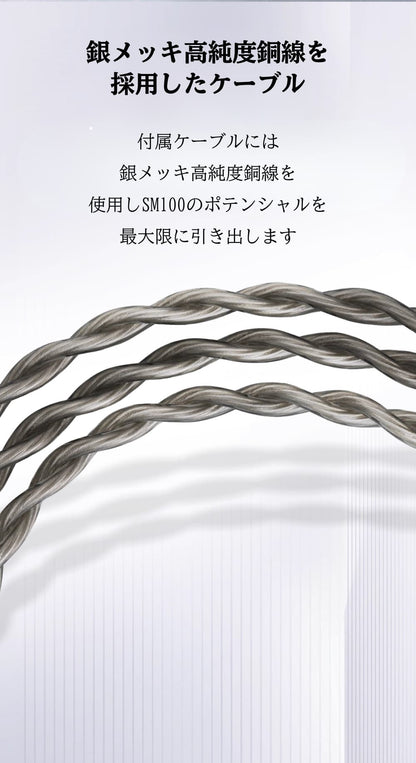 SIVGA SM100 IEM インイヤーモニターイヤホン ダイナミック型ドライバー 金属ハウジング 高音質 HiFi 有線 耳掛け カナル型 リケーブル可能 着脱式 2PIN