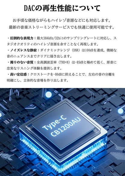 SIVGA WuZiQue 五子雀（ゴジュウカラ）ポータブル DAC USB Type-C 3.5mm マイク付き イヤホンジャック 変換 アダプター CB1200AU 32Bit/384kHz ハイレゾ対応 ドングル